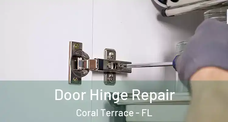  Door Hinge Repair Coral Terrace - FL