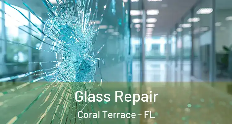  Glass Repair Coral Terrace - FL