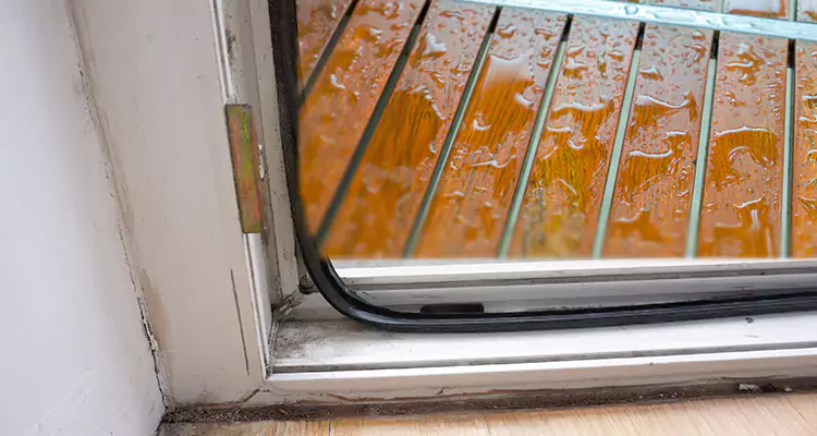 Water Leaking Wooden Patio Doors Repair in Coral Terrace, FL