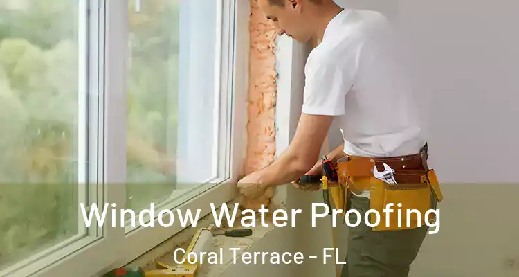  Window Water Proofing Coral Terrace - FL
